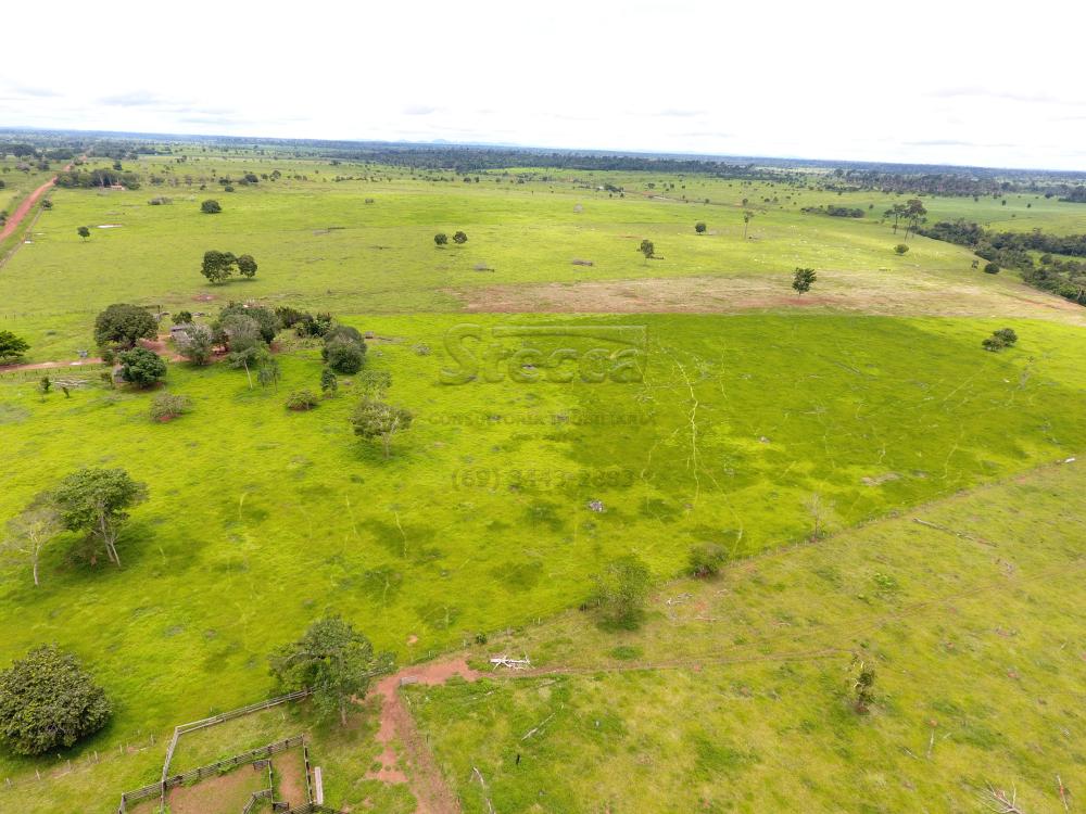 Comprar Rurais / Fazenda em Novo Horizonte do Oeste apenas R$ 10.000.000,00 - Foto 15 Comprar Rurais / Fazenda em Novo Horizonte do Oeste apenas R$ 10.000.000,00 - Foto 15