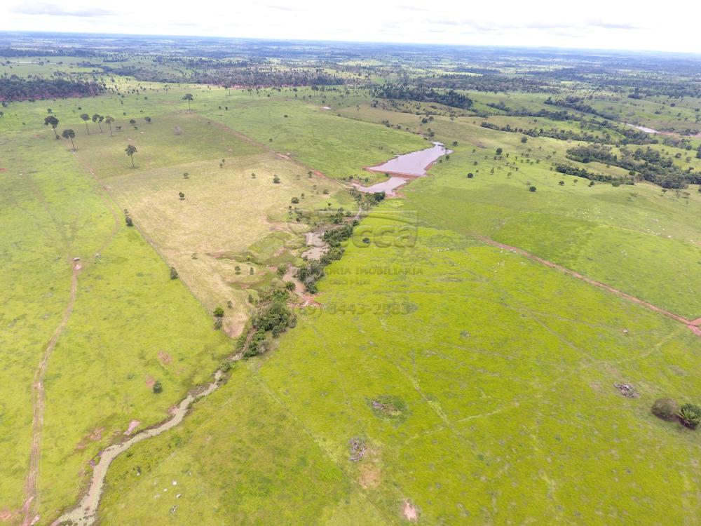 Comprar Rurais / Fazenda em Novo Horizonte do Oeste apenas R$ 10.000.000,00 - Foto 16 Comprar Rurais / Fazenda em Novo Horizonte do Oeste apenas R$ 10.000.000,00 - Foto 16