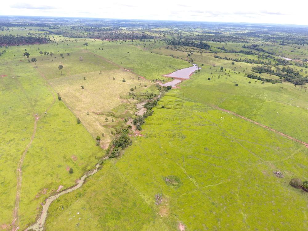 Comprar Rurais / Fazenda em Novo Horizonte do Oeste apenas R$ 10.000.000,00 - Foto 17 Comprar Rurais / Fazenda em Novo Horizonte do Oeste apenas R$ 10.000.000,00 - Foto 17