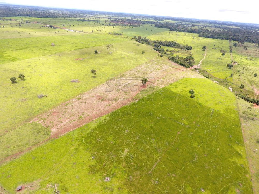 Comprar Rurais / Fazenda em Novo Horizonte do Oeste apenas R$ 10.000.000,00 - Foto 19 Comprar Rurais / Fazenda em Novo Horizonte do Oeste apenas R$ 10.000.000,00 - Foto 19