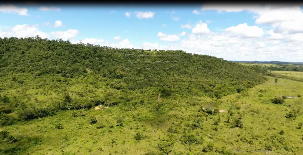 Comprar Rurais / Fazenda em Alvorada D`Oeste - Foto 3 Comprar Rurais / Fazenda em Alvorada D`Oeste - Foto 3