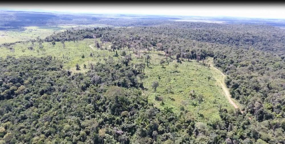 Comprar Rurais / Fazenda em Alvorada D`Oeste - Foto 9 Comprar Rurais / Fazenda em Alvorada D`Oeste - Foto 9