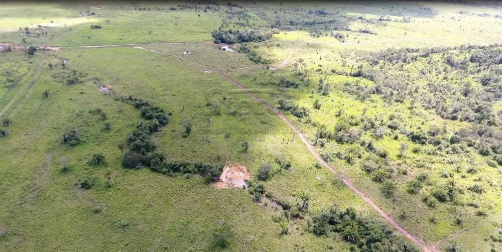 Comprar Rurais / Fazenda em Alvorada D`Oeste - Foto 11 Comprar Rurais / Fazenda em Alvorada D`Oeste - Foto 11