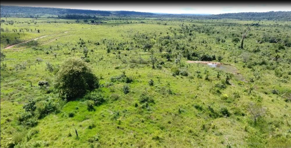 Comprar Rurais / Fazenda em Alvorada D`Oeste - Foto 15 Comprar Rurais / Fazenda em Alvorada D`Oeste - Foto 15