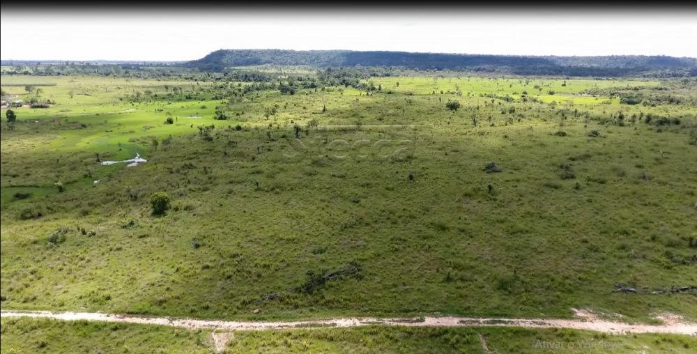 Comprar Rurais / Fazenda em Alvorada D`Oeste - Foto 23 Comprar Rurais / Fazenda em Alvorada D`Oeste - Foto 23