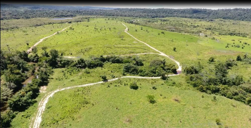 Comprar Rurais / Fazenda em Alvorada D`Oeste - Foto 34 Comprar Rurais / Fazenda em Alvorada D`Oeste - Foto 34