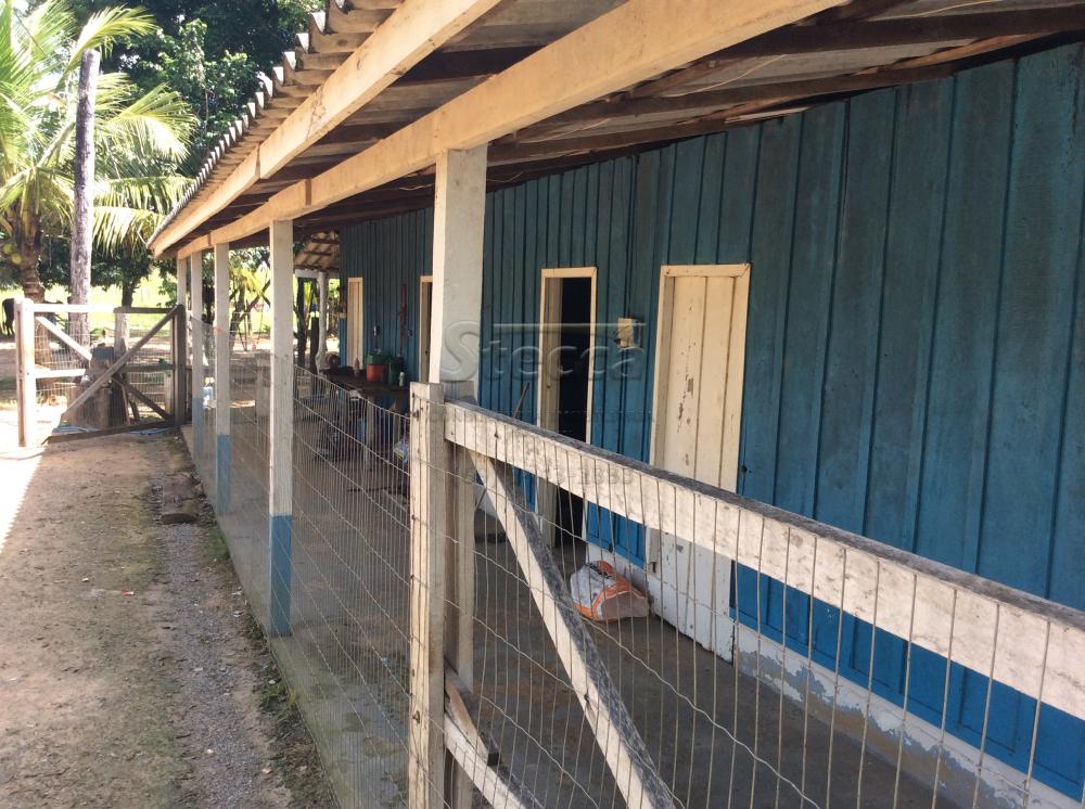 Comprar Rurais / Fazenda em Alvorada D`Oeste - Foto 6 Comprar Rurais / Fazenda em Alvorada D`Oeste - Foto 6