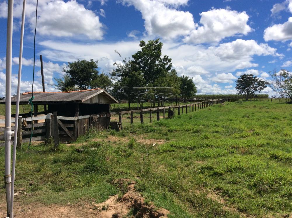 Comprar Rurais / Fazenda em Alvorada D`Oeste - Foto 16 Comprar Rurais / Fazenda em Alvorada D`Oeste - Foto 16