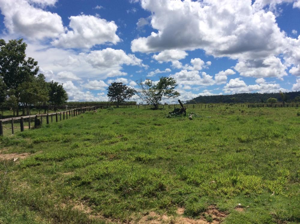 Comprar Rurais / Fazenda em Alvorada D`Oeste - Foto 18 Comprar Rurais / Fazenda em Alvorada D`Oeste - Foto 18