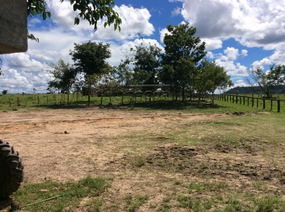 Comprar Rurais / Fazenda em Alvorada D`Oeste - Foto 28 Comprar Rurais / Fazenda em Alvorada D`Oeste - Foto 28