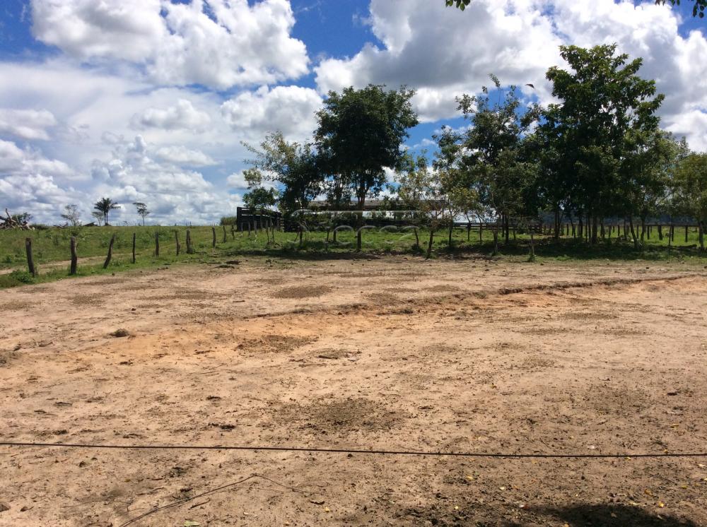 Comprar Rurais / Fazenda em Alvorada D`Oeste - Foto 32 Comprar Rurais / Fazenda em Alvorada D`Oeste - Foto 32
