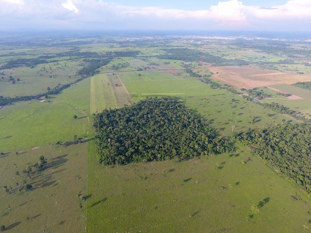 Comprar Rurais / Fazenda em CACOAL - Foto 4 Comprar Rurais / Fazenda em CACOAL - Foto 4