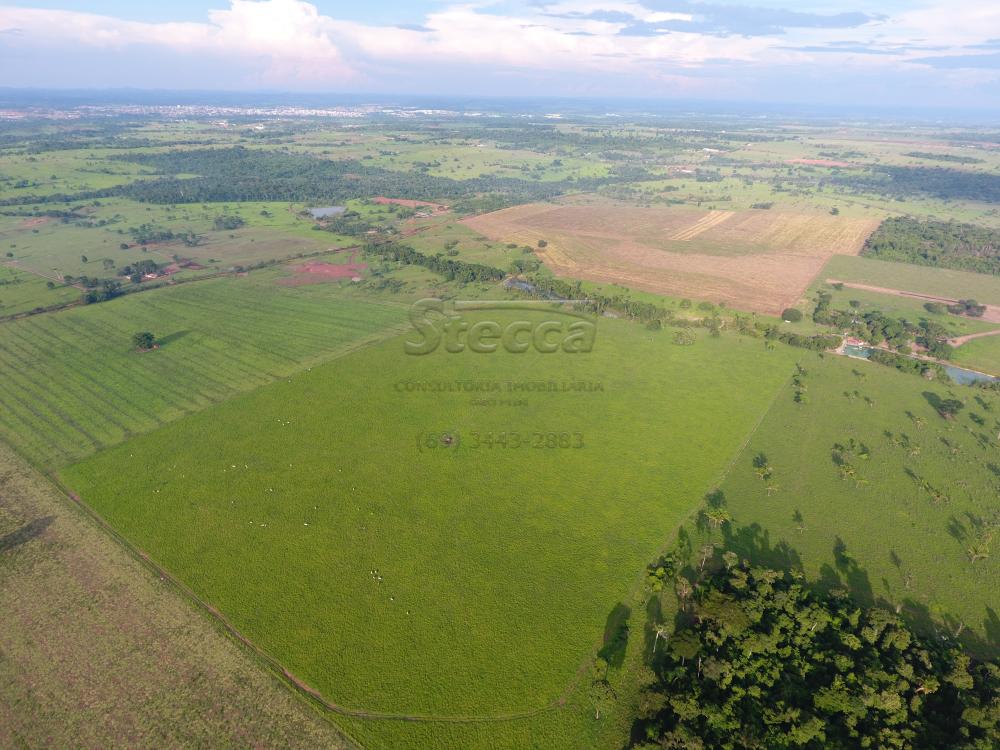Comprar Rurais / Fazenda em CACOAL - Foto 6 Comprar Rurais / Fazenda em CACOAL - Foto 6