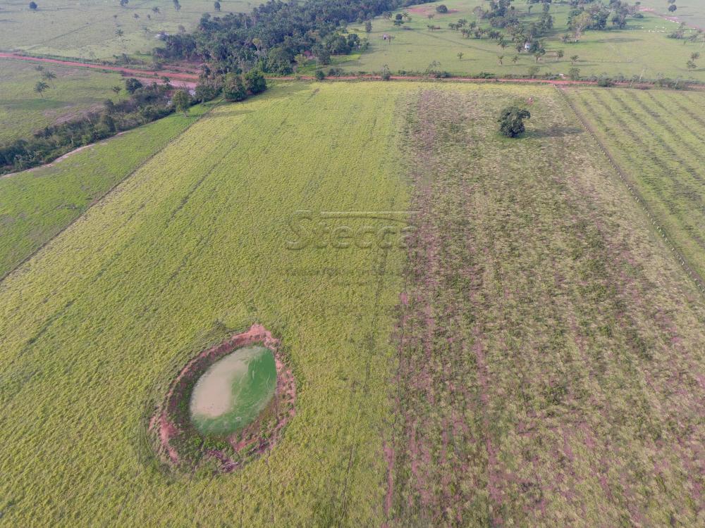 Comprar Rurais / Fazenda em CACOAL - Foto 7 Comprar Rurais / Fazenda em CACOAL - Foto 7