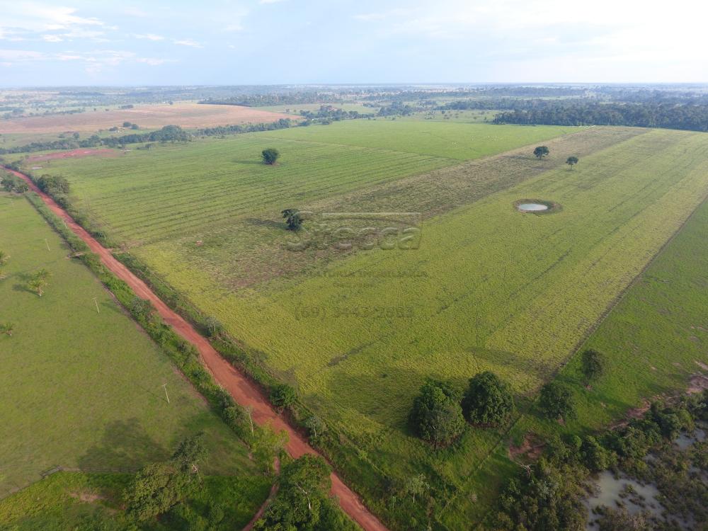Comprar Rurais / Fazenda em CACOAL - Foto 10 Comprar Rurais / Fazenda em CACOAL - Foto 10