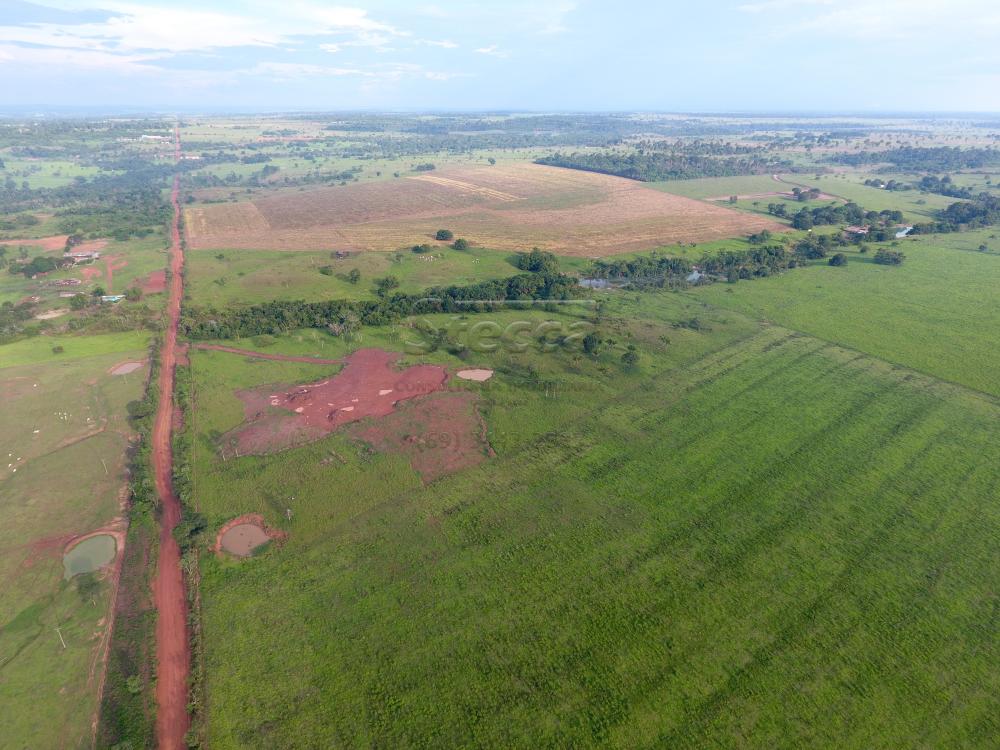 Comprar Rurais / Fazenda em CACOAL - Foto 13 Comprar Rurais / Fazenda em CACOAL - Foto 13