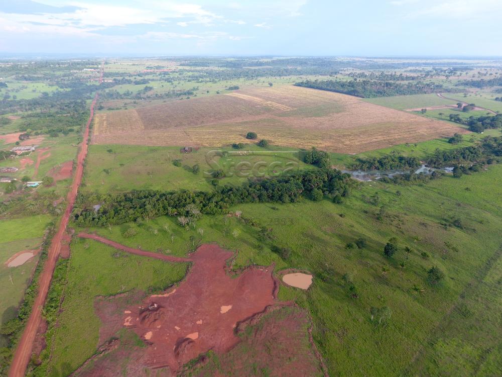 Comprar Rurais / Fazenda em CACOAL - Foto 14 Comprar Rurais / Fazenda em CACOAL - Foto 14