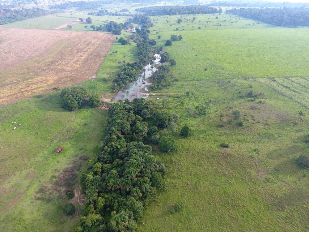 Comprar Rurais / Fazenda em CACOAL - Foto 17 Comprar Rurais / Fazenda em CACOAL - Foto 17