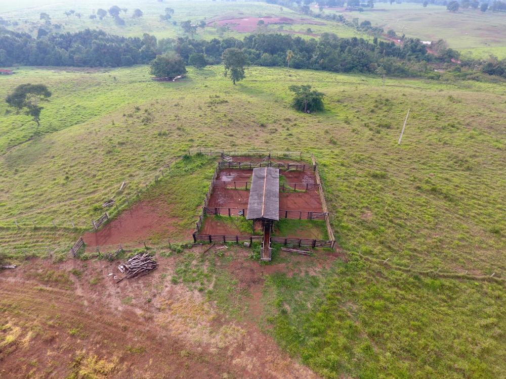 Comprar Rurais / Fazenda em CACOAL - Foto 18 Comprar Rurais / Fazenda em CACOAL - Foto 18