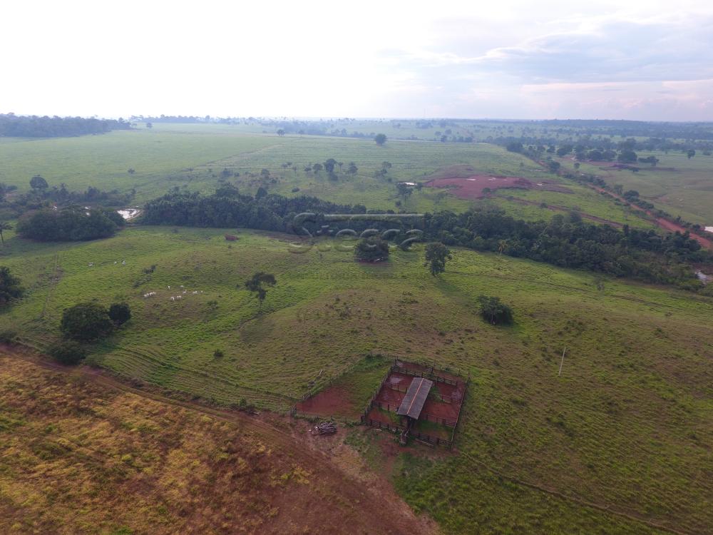 Comprar Rurais / Fazenda em CACOAL - Foto 21 Comprar Rurais / Fazenda em CACOAL - Foto 21