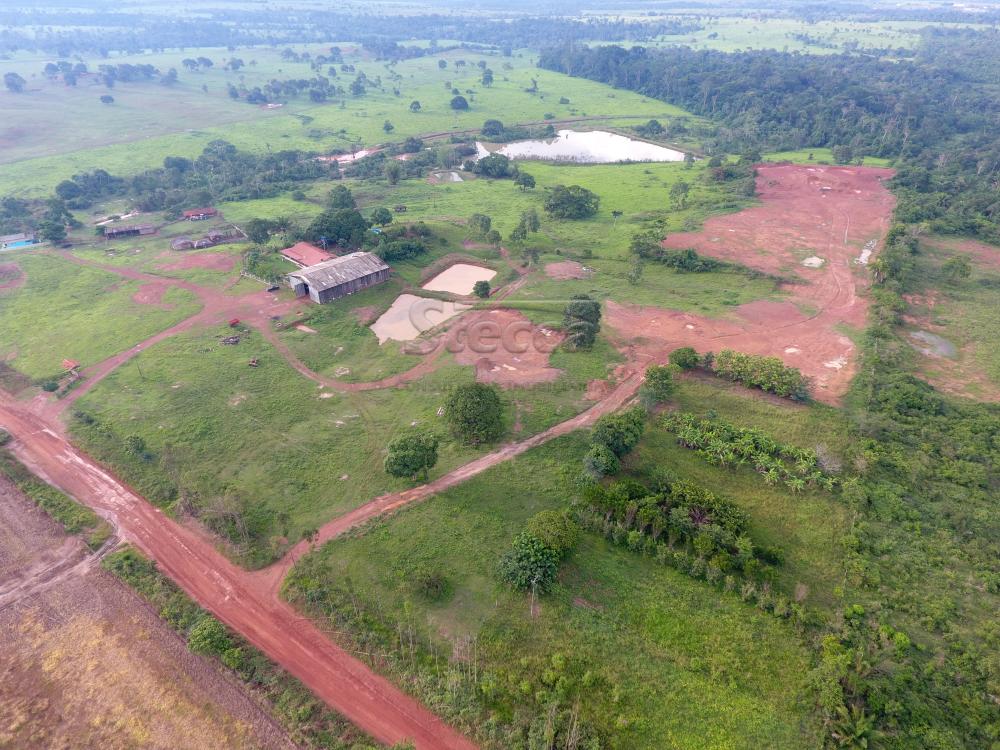 Comprar Rurais / Fazenda em CACOAL - Foto 26 Comprar Rurais / Fazenda em CACOAL - Foto 26