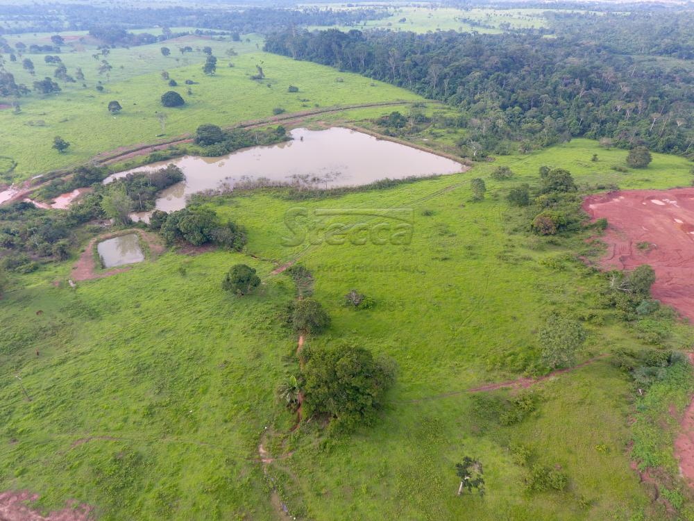 Comprar Rurais / Fazenda em CACOAL - Foto 28 Comprar Rurais / Fazenda em CACOAL - Foto 28