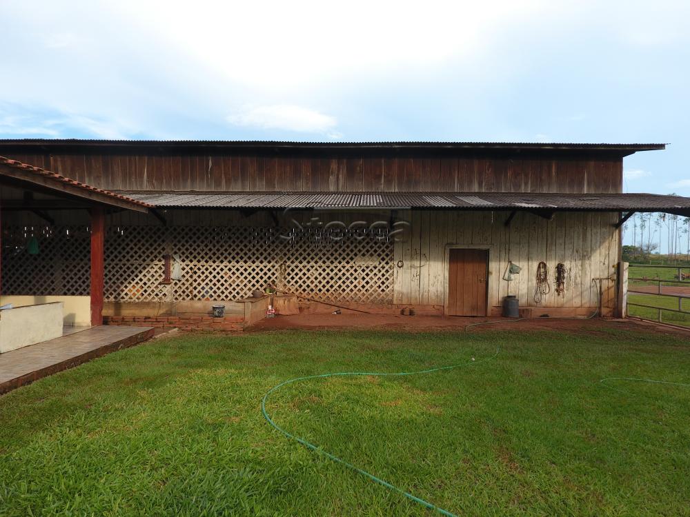 Comprar Rurais / Fazenda em CACOAL - Foto 32 Comprar Rurais / Fazenda em CACOAL - Foto 32