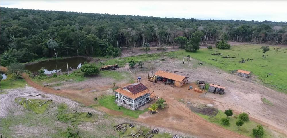 Comprar Rurais / Fazenda em Chupinguaia apenas R$ 9.000.000,00 - Foto 4 Comprar Rurais / Fazenda em Chupinguaia apenas R$ 9.000.000,00 - Foto 4