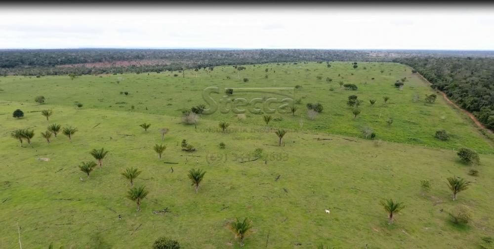 Comprar Rurais / Fazenda em Chupinguaia apenas R$ 9.000.000,00 - Foto 11 Comprar Rurais / Fazenda em Chupinguaia apenas R$ 9.000.000,00 - Foto 11