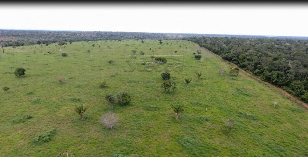 Comprar Rurais / Fazenda em Chupinguaia apenas R$ 9.000.000,00 - Foto 12 Comprar Rurais / Fazenda em Chupinguaia apenas R$ 9.000.000,00 - Foto 12
