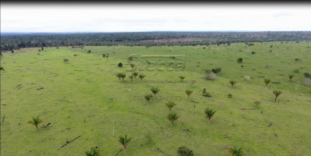 Comprar Rurais / Fazenda em Chupinguaia apenas R$ 9.000.000,00 - Foto 10 Comprar Rurais / Fazenda em Chupinguaia apenas R$ 9.000.000,00 - Foto 10