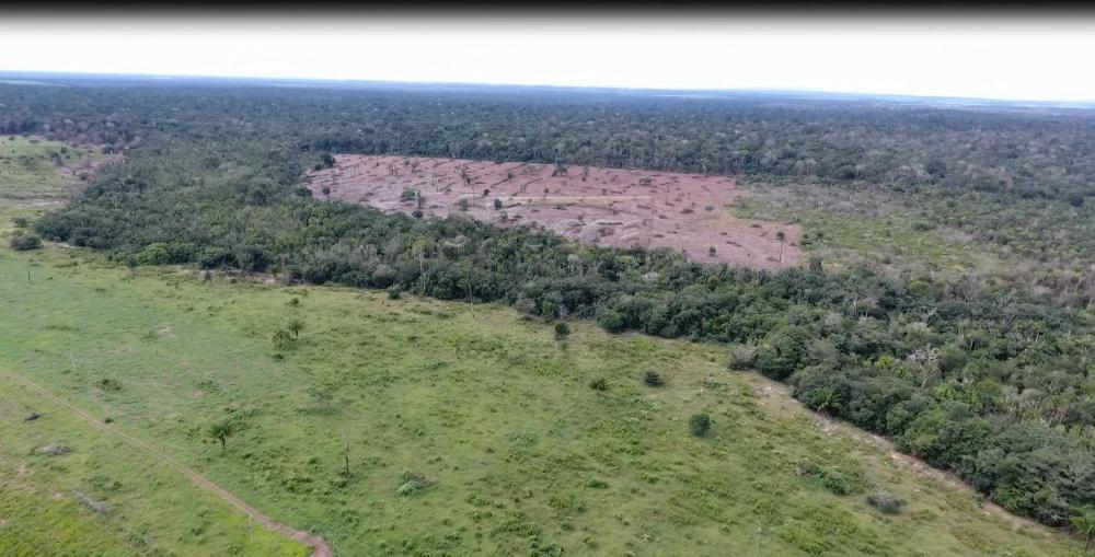 Comprar Rurais / Fazenda em Chupinguaia apenas R$ 9.000.000,00 - Foto 13 Comprar Rurais / Fazenda em Chupinguaia apenas R$ 9.000.000,00 - Foto 13