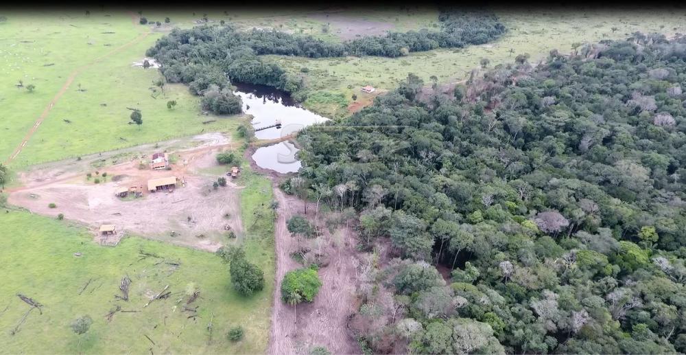 Comprar Rurais / Fazenda em Chupinguaia apenas R$ 9.000.000,00 - Foto 14 Comprar Rurais / Fazenda em Chupinguaia apenas R$ 9.000.000,00 - Foto 14