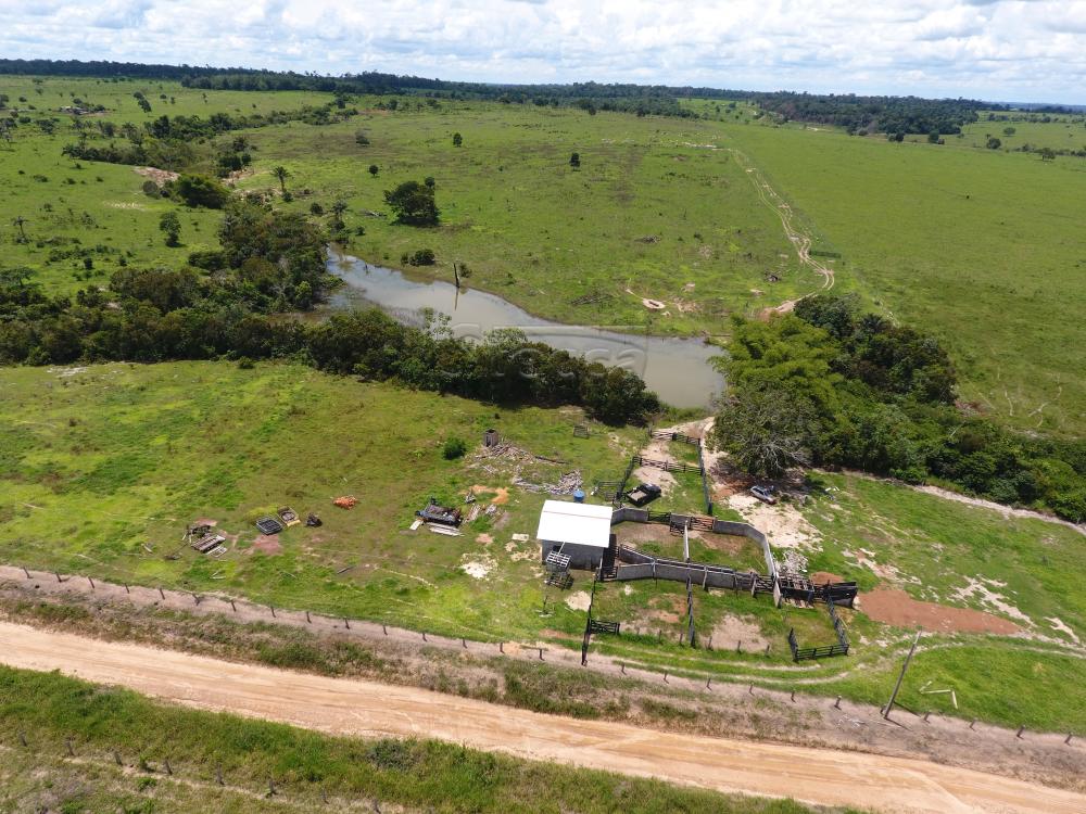 Comprar Rurais / Sítio em Pimenta Bueno apenas R$ 1.100.000,00 - Foto 3 Comprar Rurais / Sítio em Pimenta Bueno apenas R$ 1.100.000,00 - Foto 3