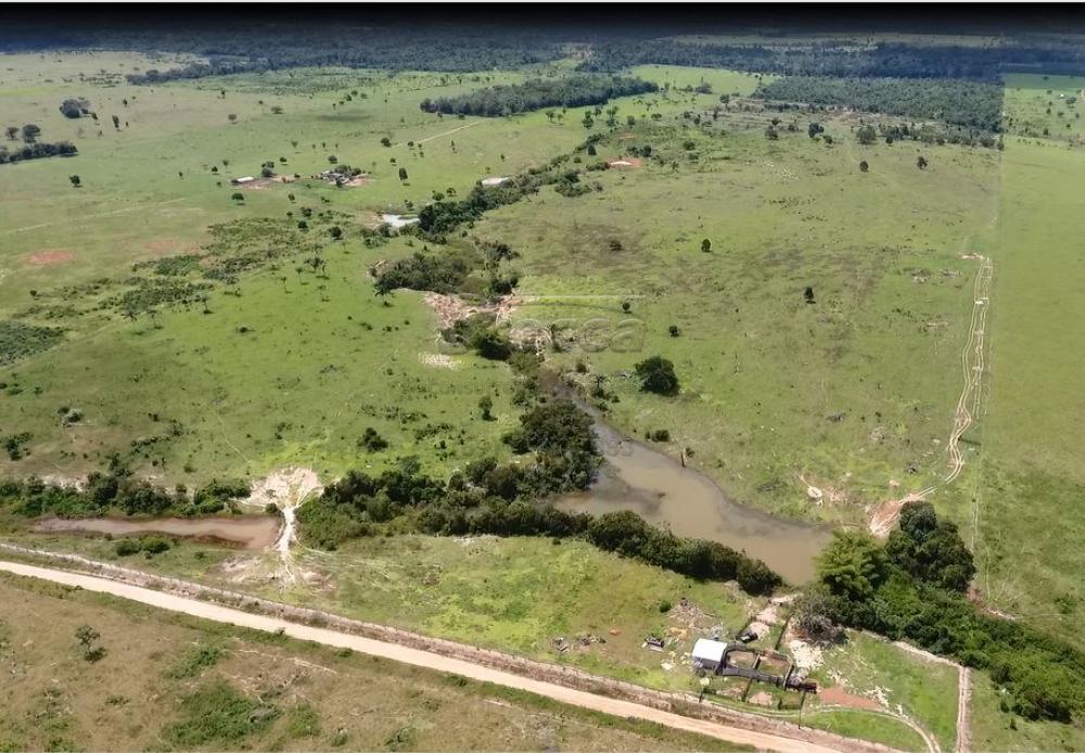 Comprar Rurais / Sítio em Pimenta Bueno apenas R$ 1.100.000,00 - Foto 15 Comprar Rurais / Sítio em Pimenta Bueno apenas R$ 1.100.000,00 - Foto 15