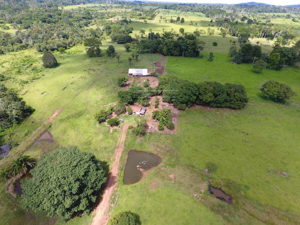 Comprar Rurais / Sítio em CACOAL apenas R$ 1.200.000,00 - Foto 4 Comprar Rurais / Sítio em CACOAL apenas R$ 1.200.000,00 - Foto 4