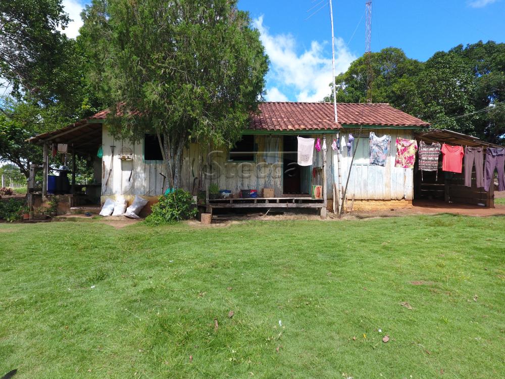 Comprar Rurais / Sítio em CACOAL apenas R$ 1.200.000,00 - Foto 3 Comprar Rurais / Sítio em CACOAL apenas R$ 1.200.000,00 - Foto 3