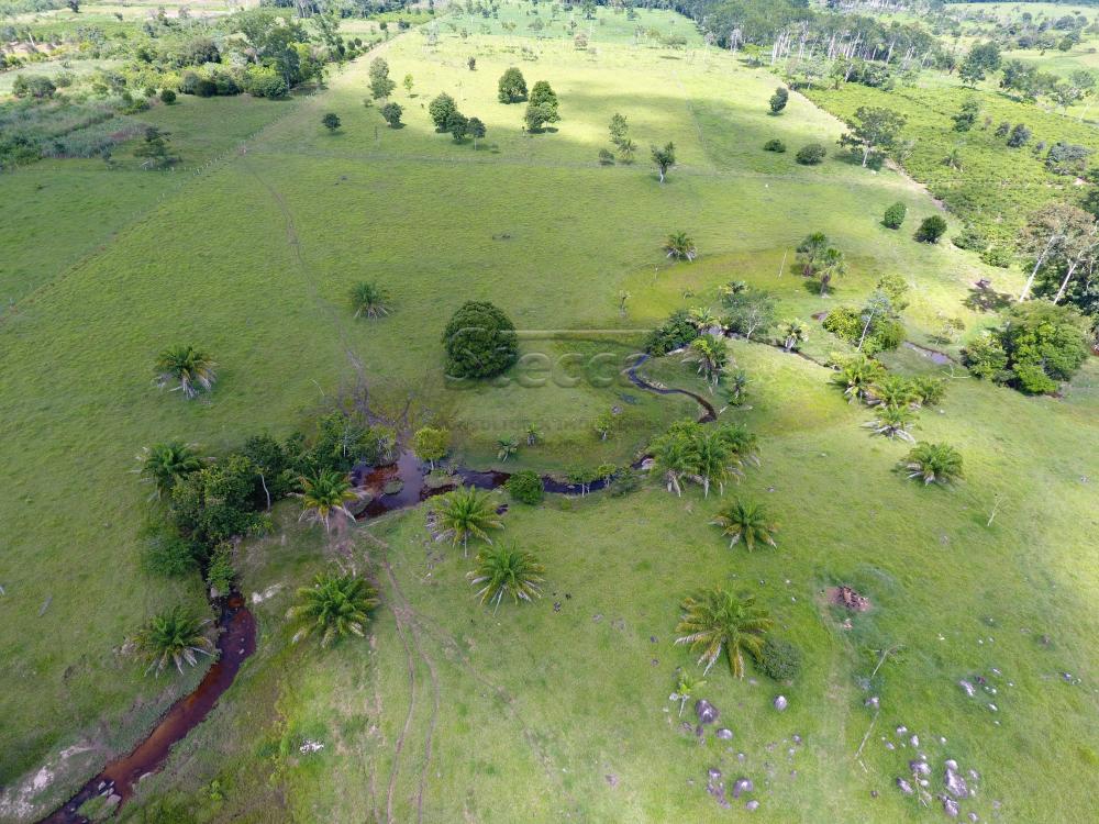 Comprar Rurais / Sítio em CACOAL apenas R$ 1.200.000,00 - Foto 11 Comprar Rurais / Sítio em CACOAL apenas R$ 1.200.000,00 - Foto 11