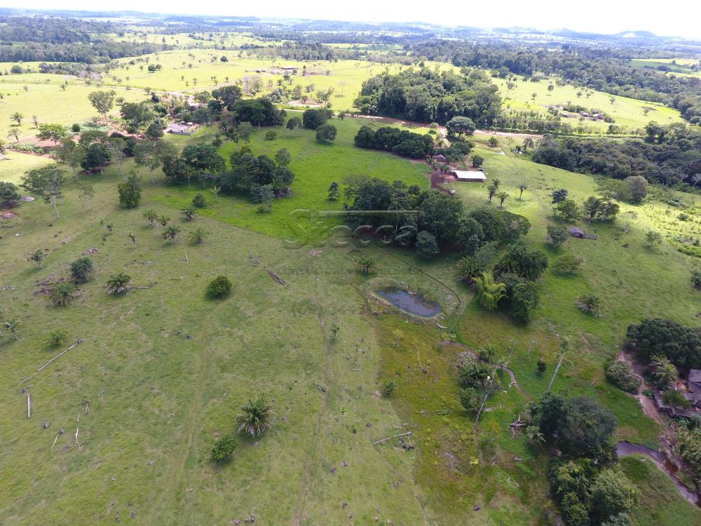 Comprar Rurais / Sítio em CACOAL apenas R$ 1.200.000,00 - Foto 15 Comprar Rurais / Sítio em CACOAL apenas R$ 1.200.000,00 - Foto 15