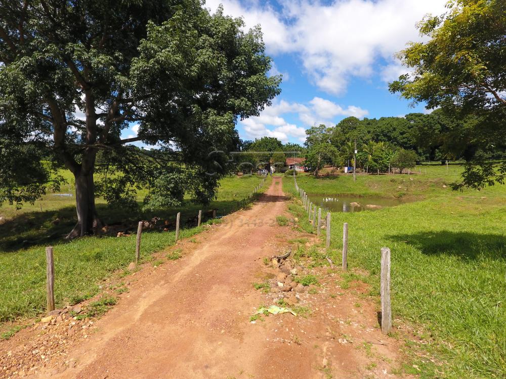 Comprar Rurais / Sítio em CACOAL apenas R$ 1.200.000,00 - Foto 19 Comprar Rurais / Sítio em CACOAL apenas R$ 1.200.000,00 - Foto 19