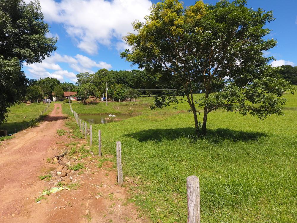 Comprar Rurais / Sítio em CACOAL apenas R$ 1.200.000,00 - Foto 1 Comprar Rurais / Sítio em CACOAL apenas R$ 1.200.000,00 - Foto 1