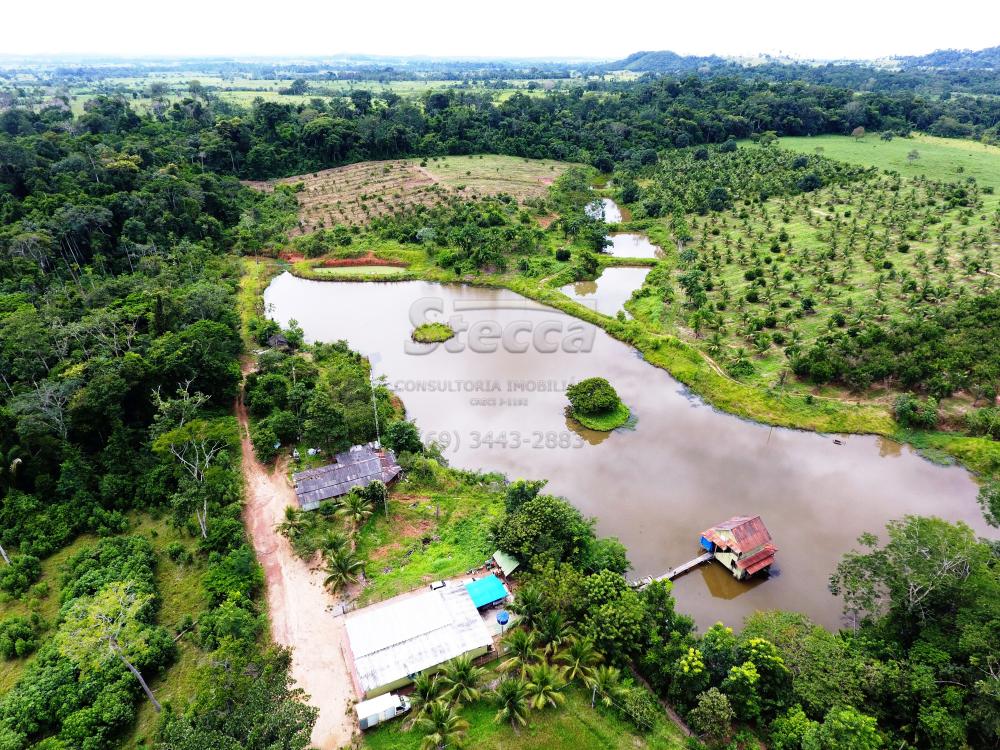 Comprar Rurais / Sítio em CACOAL apenas R$ 800.000,00 - Foto 1 Comprar Rurais / Sítio em CACOAL apenas R$ 800.000,00 - Foto 1