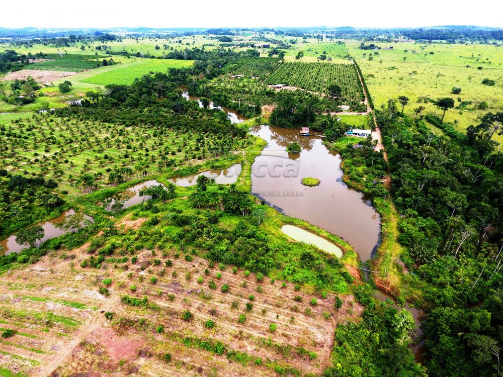 Comprar Rurais / Sítio em CACOAL apenas R$ 800.000,00 - Foto 3 Comprar Rurais / Sítio em CACOAL apenas R$ 800.000,00 - Foto 3