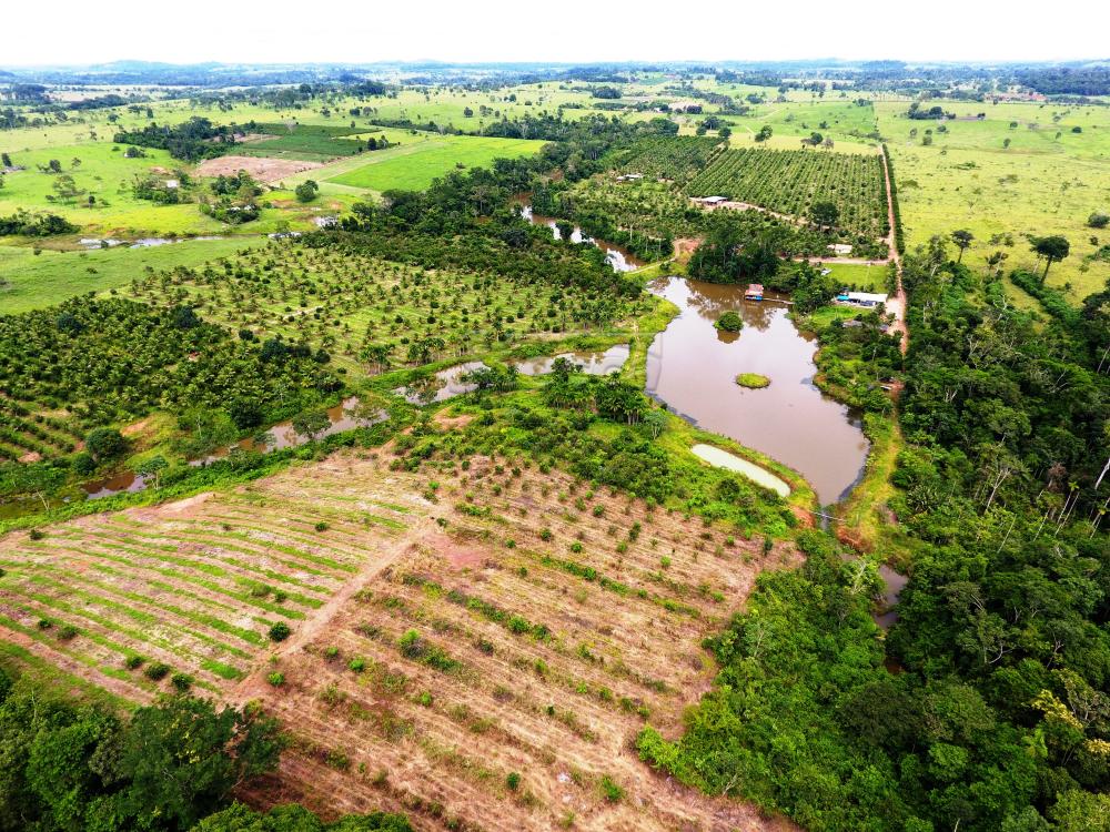 Comprar Rurais / Sítio em CACOAL apenas R$ 800.000,00 - Foto 4 Comprar Rurais / Sítio em CACOAL apenas R$ 800.000,00 - Foto 4