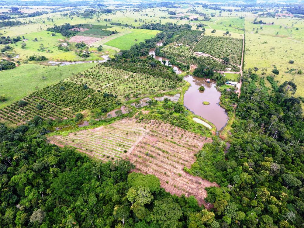Comprar Rurais / Sítio em CACOAL apenas R$ 800.000,00 - Foto 5 Comprar Rurais / Sítio em CACOAL apenas R$ 800.000,00 - Foto 5