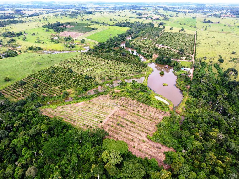 Comprar Rurais / Sítio em CACOAL apenas R$ 800.000,00 - Foto 6 Comprar Rurais / Sítio em CACOAL apenas R$ 800.000,00 - Foto 6