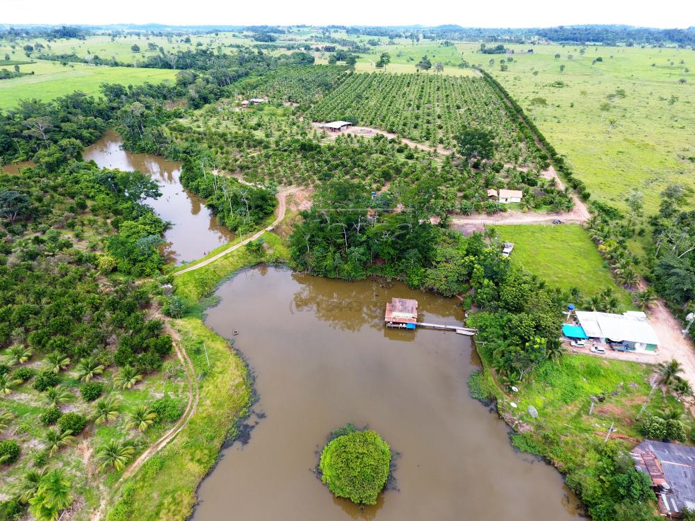 Comprar Rurais / Sítio em CACOAL apenas R$ 800.000,00 - Foto 10 Comprar Rurais / Sítio em CACOAL apenas R$ 800.000,00 - Foto 10