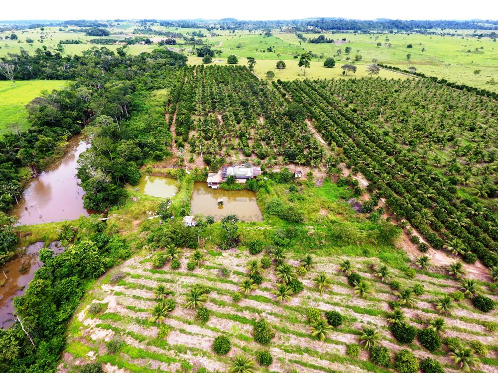 Comprar Rurais / Sítio em CACOAL apenas R$ 800.000,00 - Foto 12 Comprar Rurais / Sítio em CACOAL apenas R$ 800.000,00 - Foto 12