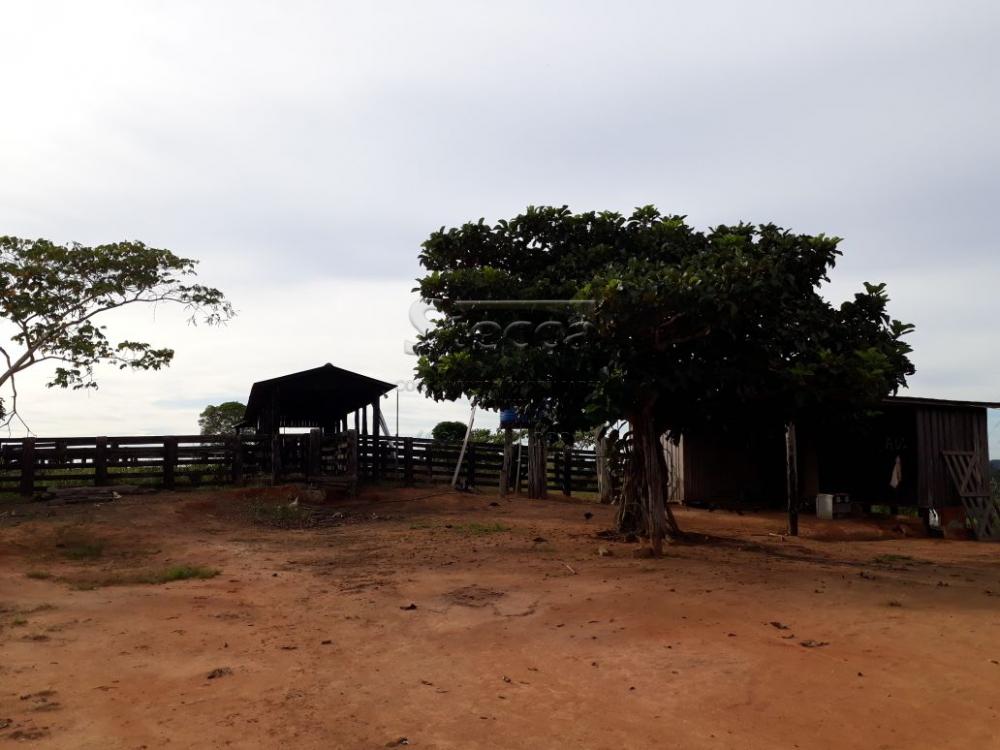 Comprar Rurais / Fazenda em Cujubim apenas R$ 4.800.000,00 - Foto 2 Comprar Rurais / Fazenda em Cujubim apenas R$ 4.800.000,00 - Foto 2