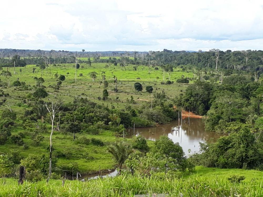Comprar Rurais / Fazenda em Cujubim apenas R$ 4.800.000,00 - Foto 3 Comprar Rurais / Fazenda em Cujubim apenas R$ 4.800.000,00 - Foto 3